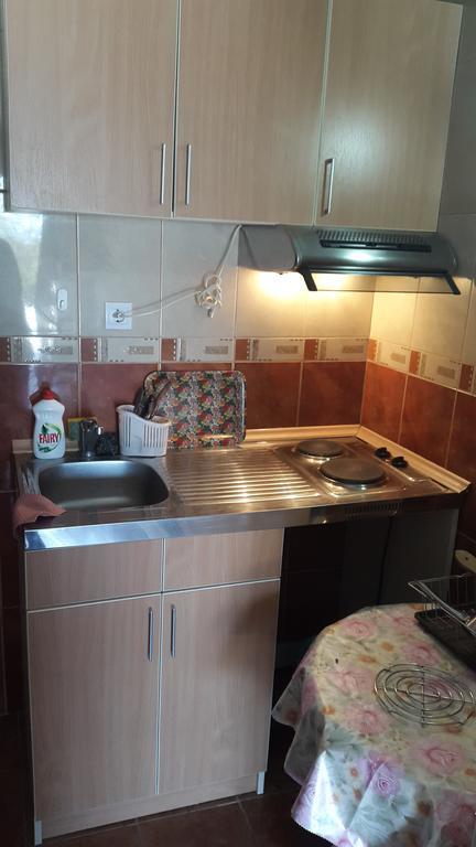 Vuko I Magdalena Midzor Apartment Petrovac Bilik gambar