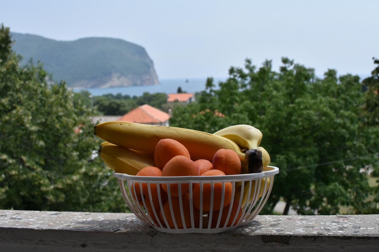 Vuko I Magdalena Midzor Apartment Petrovac Luaran gambar
